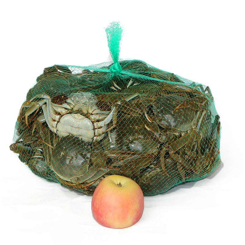 Fructus vegetabilis Packaging Pp Mesh Leno Bag Roll